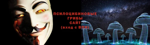 экстази Богородицк