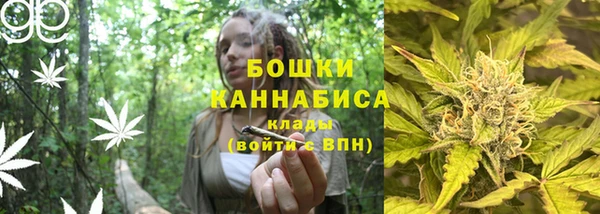 молекула духа Богородск
