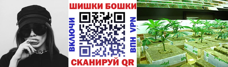 Конопля план мега маркетплейс Козельск продажа наркотиков